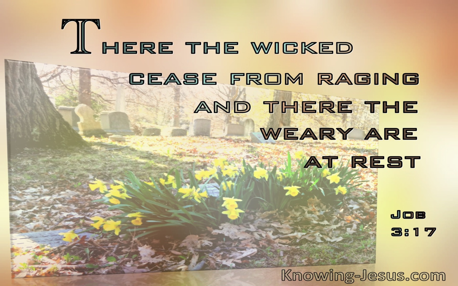 Job 3:17 The Wicked Cease Raging The Weary Are At Rest (beige) 